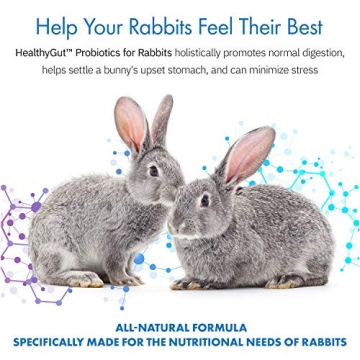 HealthyGut Probiotics for Rabbits All-Natural Dietary Supplement