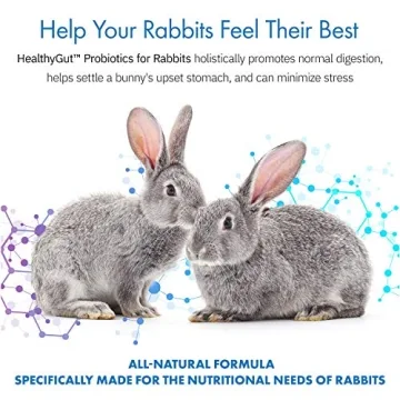 HealthyGut Probiotics for Rabbits All-Natural Dietary Supplement
