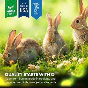 HealthyGut Probiotics for Rabbits All-Natural Dietary Supplement