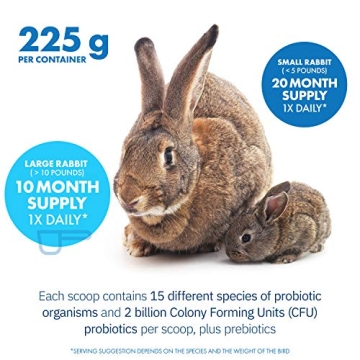 HealthyGut Probiotics for Rabbits All-Natural Dietary Supplement