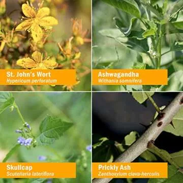 Herb Pharm Good Mood Herbal Formula with St John's Wort