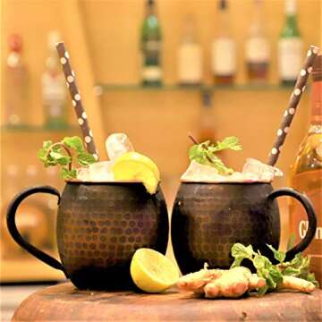 Staglife 16 Oz Antique Moscow Mule Copper Mugs & Copper Cups for Moscow Mules Hammered Finish Set of 2