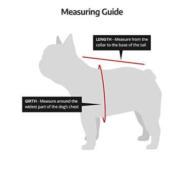 K9 Sport Sack Air Forward Facing Backpack Blue Dog Carrier, 11" L X 9" W X 19" H, Medium, Blue/Black