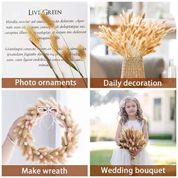 100pcs Natural Rabbit Tail Grass - Bunny Tails Dried Flowers,Used for Photo Props, Home Decor, Wedding, Party, Theme Decoration,16in(Natural Color)