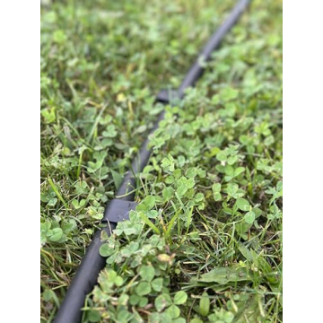 Harrier Hardware 1/2-Inch Irrigation Anchor Stakes - 32-Pack