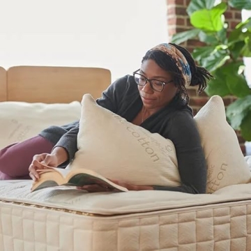 Naturepedic 2-in-1 Organic Latex Pillow for Comfort