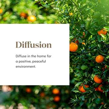 Young Living Peace & Calming Essential Oil, 5ml - Aromatherapy for Diffuser & Relaxation | Soothing ...