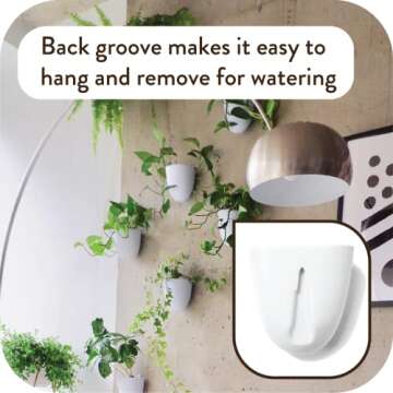 PlantPod Luxe Wall Planters - Self-Watering, Easy to Install