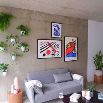 PlantPod Luxe Wall Planters - Self-Watering, Easy to Install