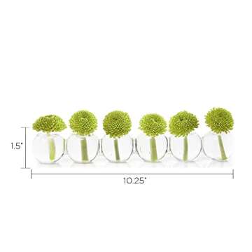 Caterpillar Glass Bud Vase for Elegant Flower Displays