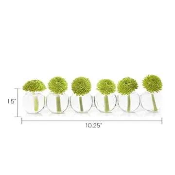 Caterpillar Glass Bud Vase for Elegant Flower Displays