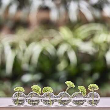 Caterpillar Glass Bud Vase for Elegant Flower Displays