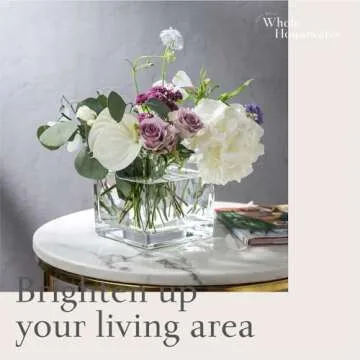 Elegant Clear Glass Square Vases Set of 2 for Home Decor