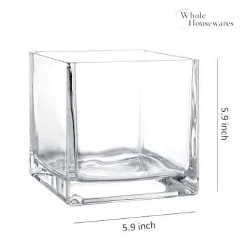 Elegant Clear Glass Square Vases Set of 2 for Home Decor