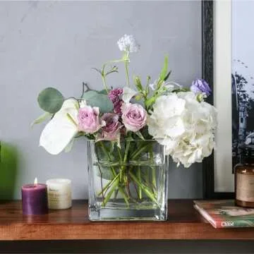 Elegant Clear Glass Square Vases Set of 2 for Home Decor