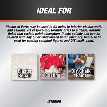 DAP 10312 Plaster of Paris, 25 Pound (Pack of 1), White