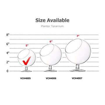 WGV Clear Glass Terrarium - Stylish & Versatile Planter