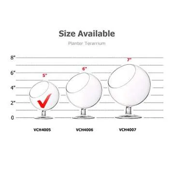 WGV Clear Glass Terrarium - Stylish & Versatile Planter