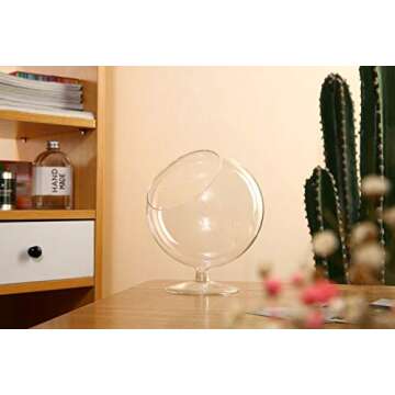 WGV Clear Glass Terrarium - Stylish & Versatile Planter