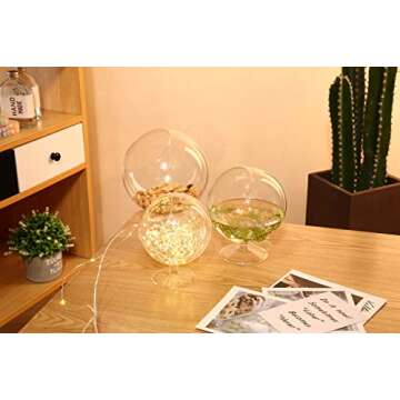 WGV Clear Glass Terrarium - Stylish & Versatile Planter