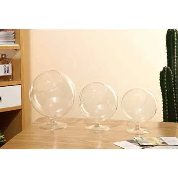 WGV Clear Glass Terrarium - Stylish & Versatile Planter