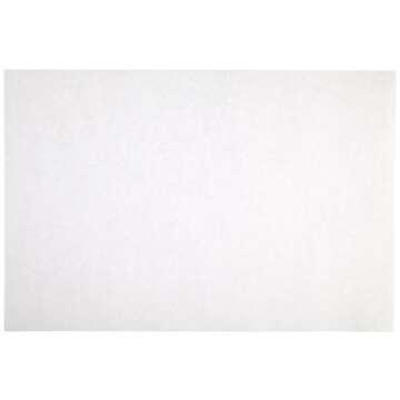Sax Sulphite Drawing Paper, 80 lb, 9 x 12 Inches, Extra-White, Pack of 500 - 053943