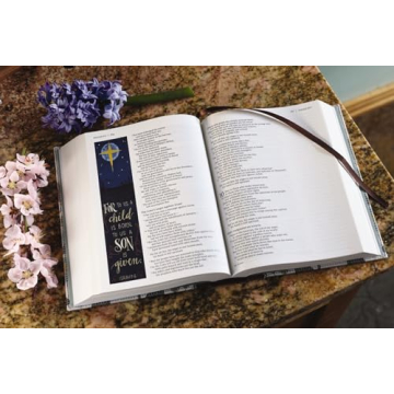 NIV Beautiful Word Bible for Women - 600+ Illustrated Verses