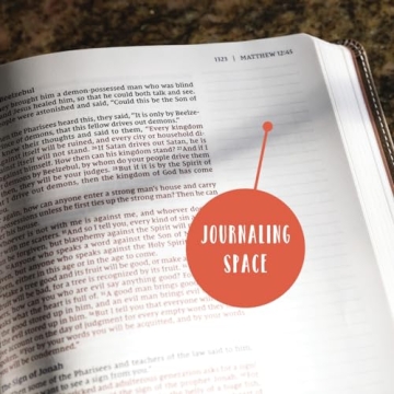 NIV Beautiful Word Bible for Women - 600+ Illustrated Verses