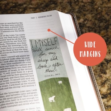 NIV Beautiful Word Bible for Women - 600+ Illustrated Verses