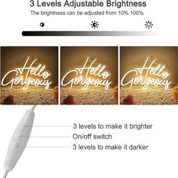 Hello Gorgeous LED Neon Sign Light Up Glow Signs USB Powered for Home Room Wall Birthday Party Wedding Decor Bar Backdrop, Hanging and Dimmable Switch