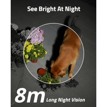 eufy Security SoloCam