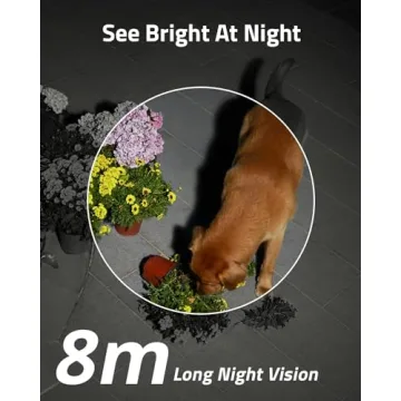 eufy Security SoloCam