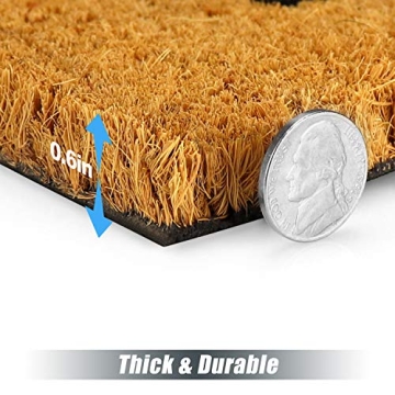 Sierra Concepts Outdoor Indoor Doormat Set for Your Home