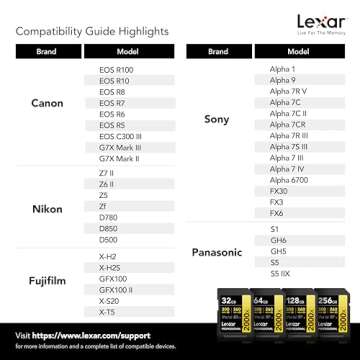 Lexar 256GB Professional 2000x SDXC Memory Card, UHS-II, C10, U3, V90, Full-HD & 8K Video, Up To 300MB/s Read, for DSLR, Cinema-Quality Video Cameras (LSD2000256G-BNNNU)