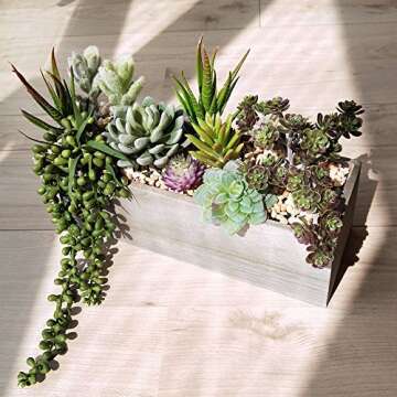 Supla Artificial Potted Succulents Arrangement for Decor