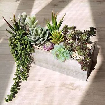 Supla Artificial Potted Succulents Arrangement for Decor
