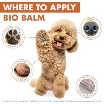 Natural Healing Dog Paw Balm for Dry, Cracked Paws