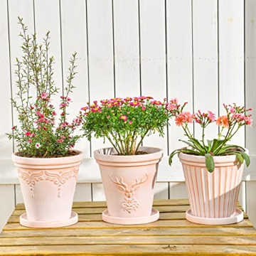 Sungmor Terracotta Pots Set - Beautiful Plant Planters