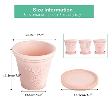 Sungmor Terracotta Pots Set - Beautiful Plant Planters