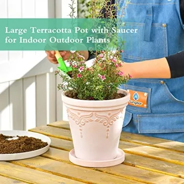 Sungmor Terracotta Pots Set - Beautiful Plant Planters