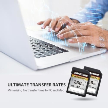 GIGASTONE 256GB Memory Card Fast 4K Ultra HD Reliability