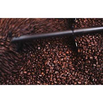 HONEY-BEAR | Black Edition - Dark Roast, Highest Rated Coffee - Limited Edition Whole Bean by Twin Engine Coffee