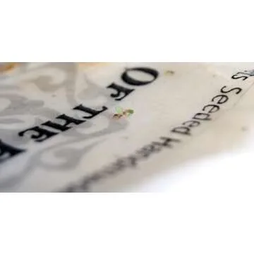 Eco-Friendly Plantable Printer Paper - 50 Sheets Total