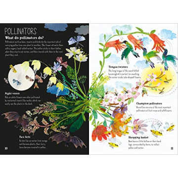 The Big Book of Blooms: Engaging Educational Resource