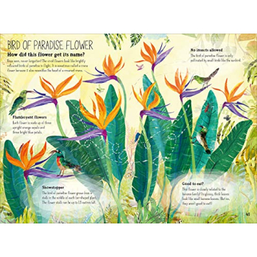 The Big Book of Blooms: Engaging Educational Resource