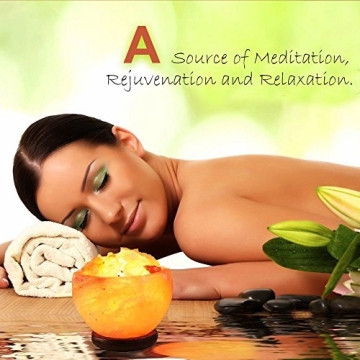 HemingWeigh Hand Crafted Himalayan Salt Bowl Lamp