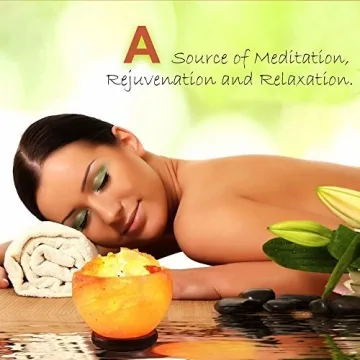 HemingWeigh Hand Crafted Himalayan Salt Bowl Lamp