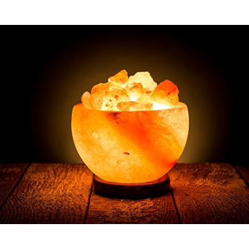 HemingWeigh Hand Crafted Himalayan Salt Bowl Lamp