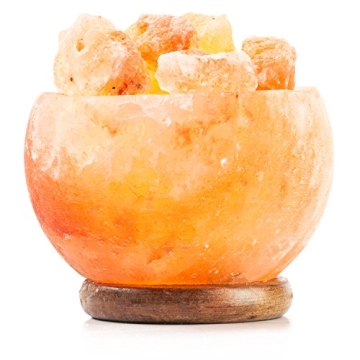 HemingWeigh Hand Crafted Himalayan Salt Bowl Lamp