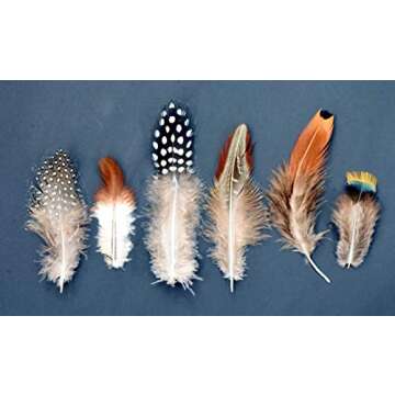 Craft Feathers - Natural Feathers - Loose Real Chicken Feather for Dream Catcher Jewelry Making Hats Crafts by Mandala Crafts 1.25 to 4.25 Inches 180 PCS